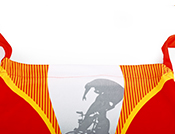 面料1